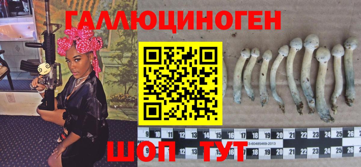 Псилоцибиновые грибы Cubensis  Галлюциногенные грибы GOLDEN TEACHER  Вход с VPN  цена наркотик  Березники 